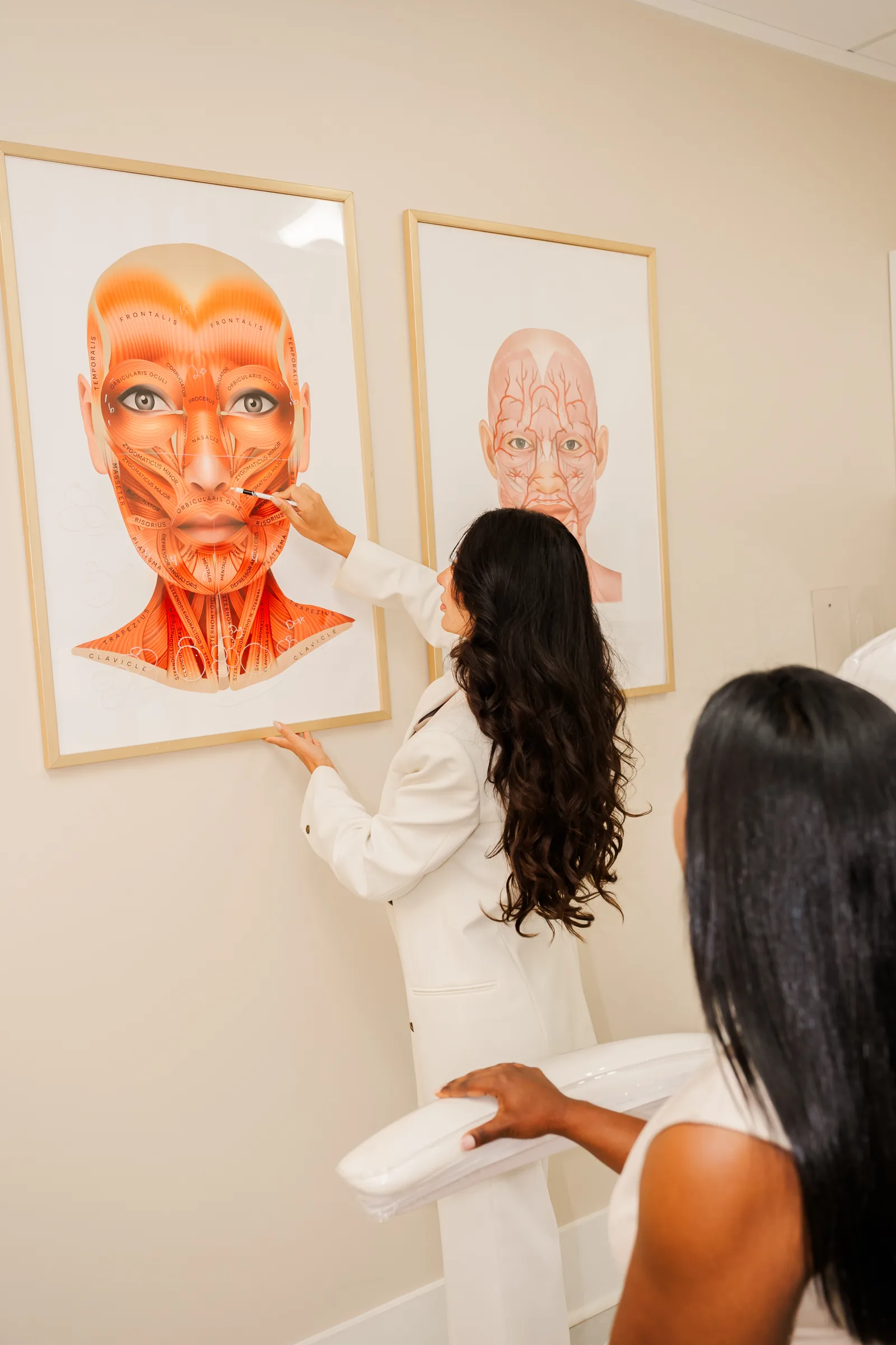 Facial anatomy consultation at La Miel Aesthetics medical spa in Raleigh, NC.